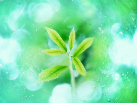 382785 (a): :1600x1200